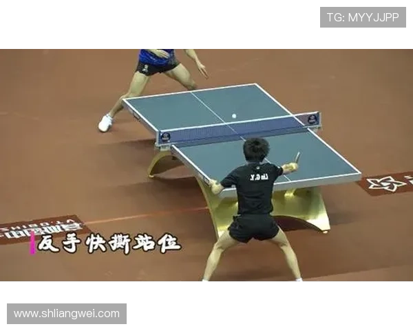 乒乓球战术：北京乒乓球队的区域防守体系